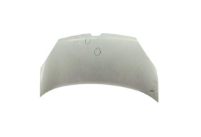 Capot RENAULT KANGOO 2 Photo n°1