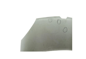 Capot RENAULT KANGOO 2 Photo n°3