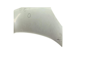 Capot RENAULT KANGOO 2 Photo n°5