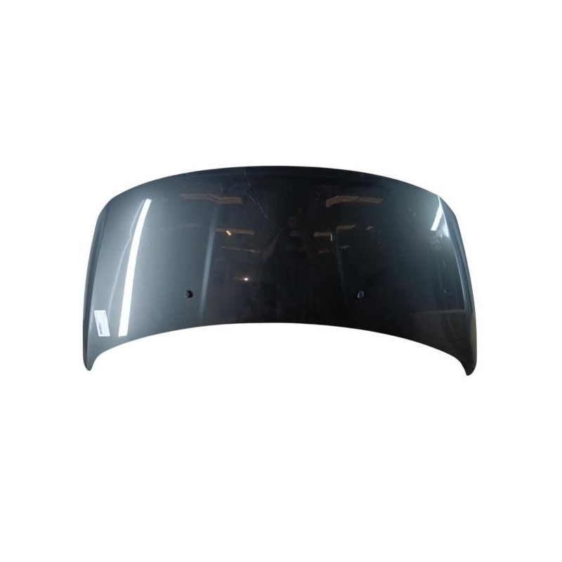 Capot PEUGEOT 3008 1 Photo n°1