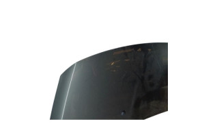 Capot PEUGEOT 3008 1 Photo n°3