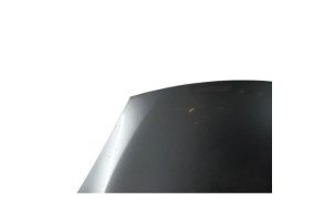 Capot RENAULT SCENIC 3 Photo n°2