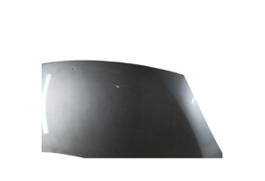 Capot RENAULT SCENIC 3 Photo n°3