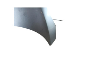 Capot RENAULT SCENIC 3 Photo n°4