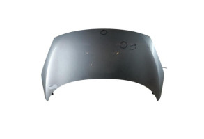 Capot RENAULT SCENIC 3 Photo n°5