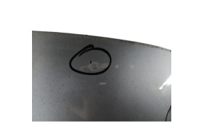 Capot RENAULT SCENIC 3 Photo n°6