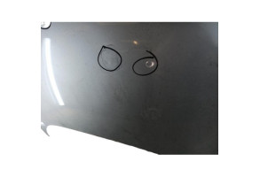 Capot RENAULT SCENIC 3 Photo n°7