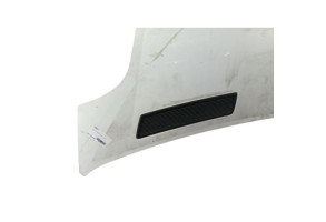 Capot RENAULT TRAFIC 2 Photo n°2