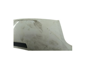 Capot RENAULT TRAFIC 2 Photo n°4