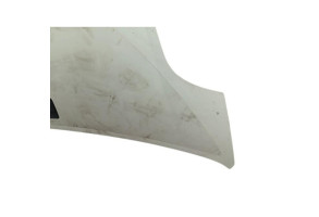 Capot RENAULT TRAFIC 2 Photo n°5