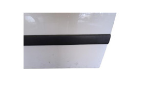 Porte avant gauche RENAULT KANGOO 2 Photo n°7