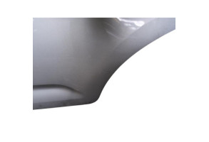 Porte arriere gauche CITROEN C3 2 Photo n°1