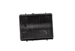 Radiateur eau CITROEN DS3 Photo n°3