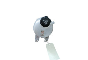 Vase d'expansion PEUGEOT EXPERT 4 Photo n°3 Vase d'expansion PEUGEOT EXPERT 4 Photo n°3