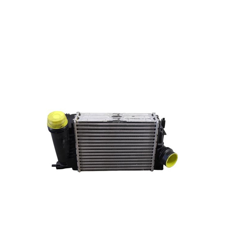 Echangeur air (Intercooler) RENAULT MEGANE 4 Photo n°1 Echangeur air (Intercooler) RENAULT MEGANE 4 Photo n°1