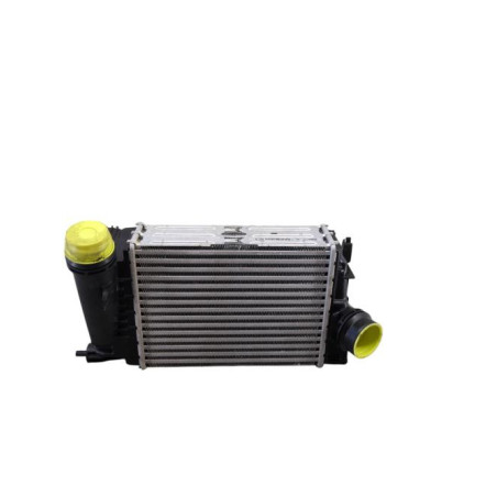 Echangeur air (Intercooler) RENAULT MEGANE 4