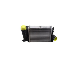 Echangeur air (Intercooler) RENAULT MEGANE 4 Photo n°1 Echangeur air (Intercooler) RENAULT MEGANE 4 Photo n°1