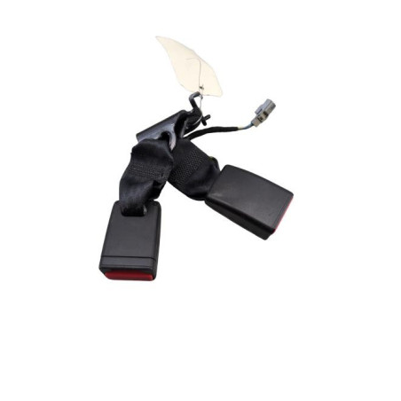 Attache ceinture arriere gauche RENAULT MEGANE 4