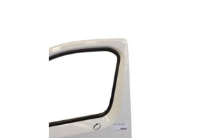 Porte avant gauche RENAULT TRAFIC 3 COURT Photo n°2