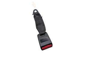 Attache ceinture arriere gauche PEUGEOT 206 Photo n°4