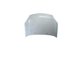 Capot RENAULT CLIO 2 Photo n°1