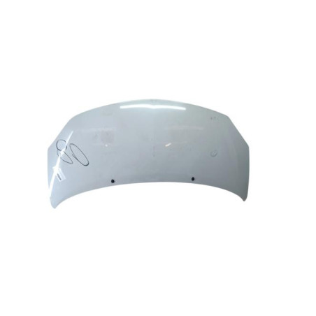 Capot RENAULT TWINGO 2