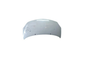 Capot RENAULT TWINGO 2 Photo n°1