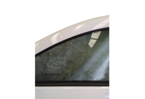 Porte avant gauche DACIA SANDERO 2 Photo n°4