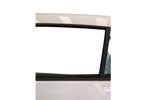 Porte arriere gauche DACIA SANDERO 2 Photo n°1