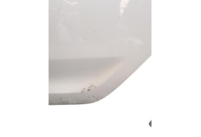 Porte arriere gauche DACIA SANDERO 2 Photo n°4
