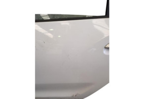 Porte arriere gauche DACIA SANDERO 2 Photo n°11
