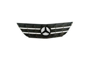 Calandre MERCEDES CLASSE B 245 Photo n°2
