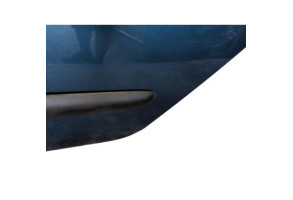 Porte arriere gauche RENAULT CLIO 2 Photo n°2