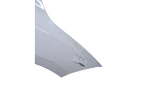 Aile avant droit RENAULT MEGANE 3 Photo n°3