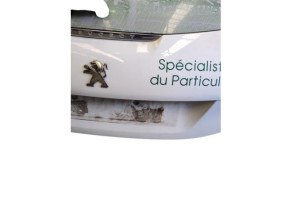 Malle/Hayon arriere PEUGEOT 208 1 Photo n°4