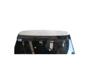Malle/Hayon arriere VOLKSWAGEN TIGUAN 2 Photo n°2