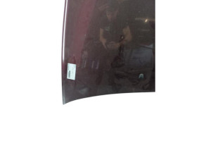 Capot LANCIA DELTA 3 Photo n°4