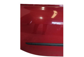 Porte arriere droit RENAULT CLIO 3 Photo n°2 Porte arriere droit RENAULT CLIO 3 Photo n°2