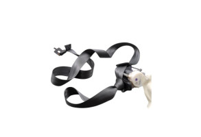 Ceinture arriere droit RENAULT CLIO 3 Photo n°2 Ceinture arriere droit RENAULT CLIO 3 Photo n°2