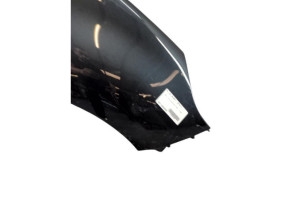 Aile avant droit RENAULT GRAND SCENIC 3 Photo n°3