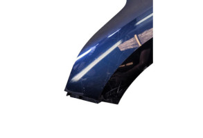Aile avant gauche RENAULT SCENIC 4 Photo n°3