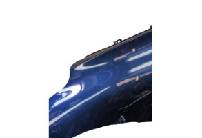 Aile avant gauche RENAULT SCENIC 4 Photo n°4