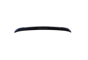 Becquet RENAULT SCENIC 4 Photo n°4