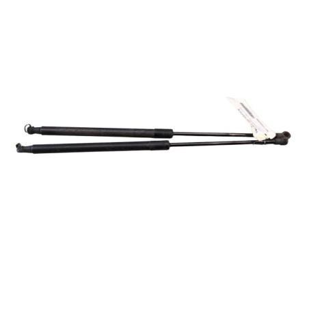 Verin de coffre NISSAN QASHQAI 1