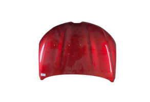 Capot RENAULT ARKANA Photo n°5