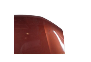 Capot DACIA SANDERO 2 Photo n°6