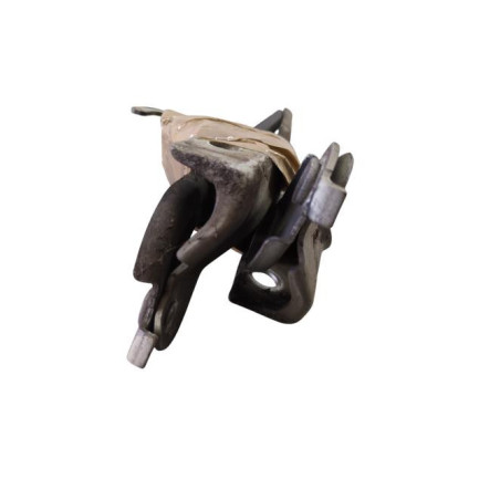 Charniere de capot VOLKSWAGEN TIGUAN 1