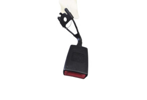 Attache ceinture arriere gauche VOLKSWAGEN TIGUAN 1 Photo n°2