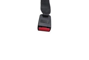 Attache ceinture arriere gauche PEUGEOT 206 Photo n°1