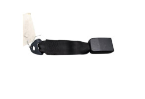 Attache ceinture arriere gauche PEUGEOT 206 Photo n°3